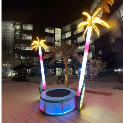 Light-up bungee trampoline