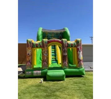 Simba the Lion King Slide for Kids’ Events for rent | Estajer