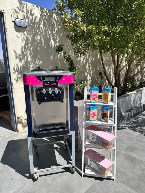 Professional Ice Cream Machine for Party Rental