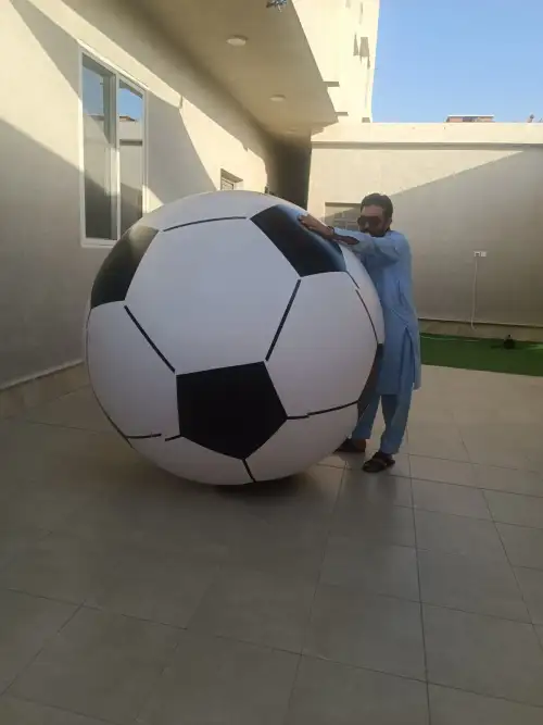 Giant Inflatable Ball – Fun and Excitement for All Ages 89 - Image 3 for rent | Estajer