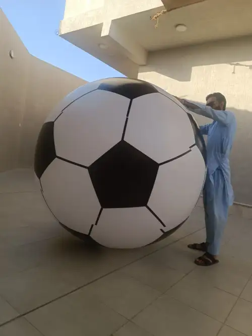 Giant Inflatable Ball – Fun and Excitement for All Ages 89 - Image 2 for rent | Estajer