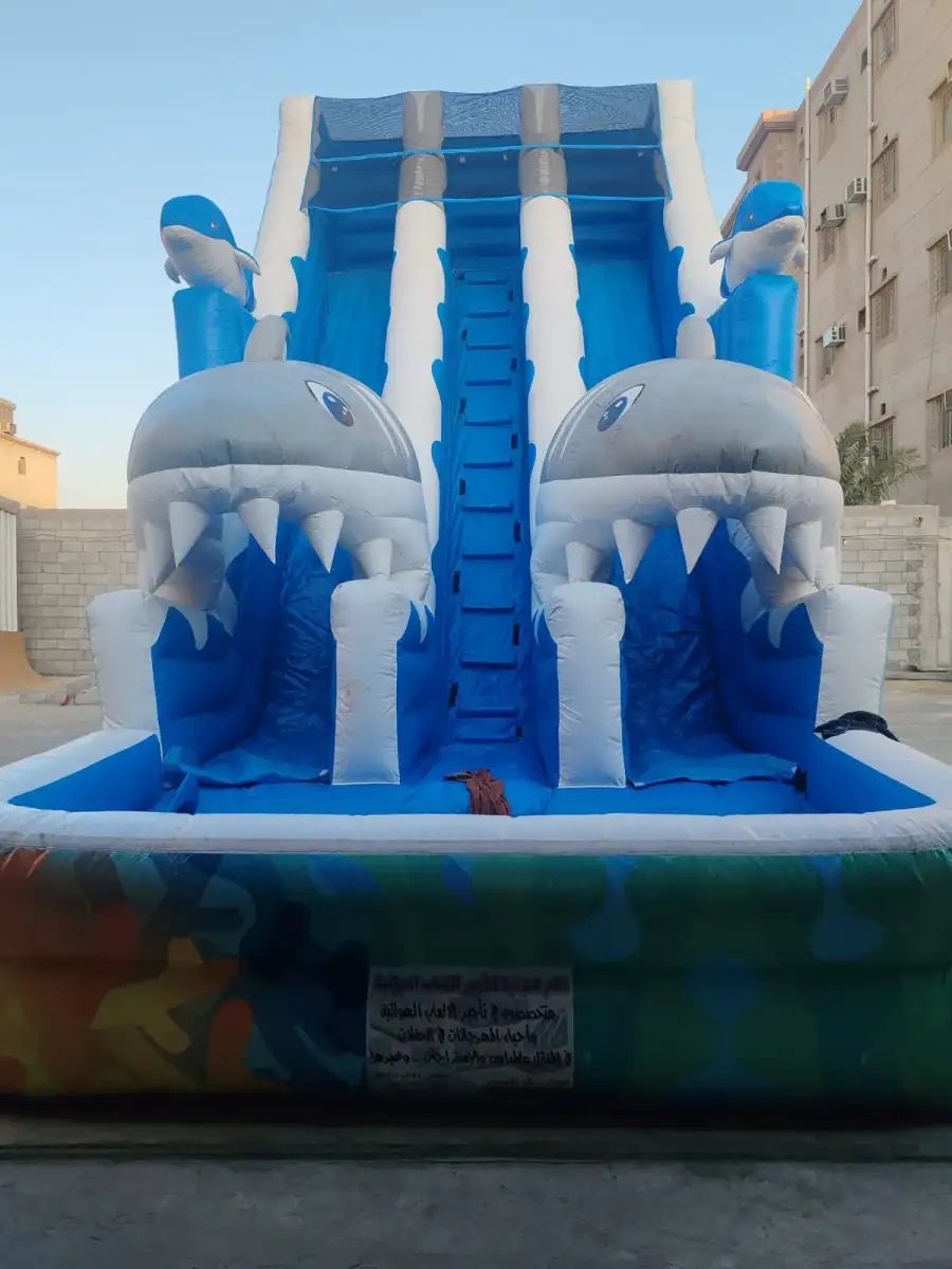 Shark Water Slide – Bold Start into the World of Sharks 34 - Main image for rent | Estajer