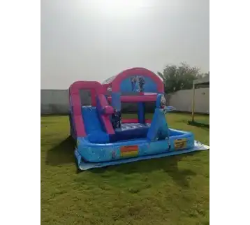 Frozen Water Bouncer and Slide – Complete Frozen-Themed Play 39 for rent | Estajer