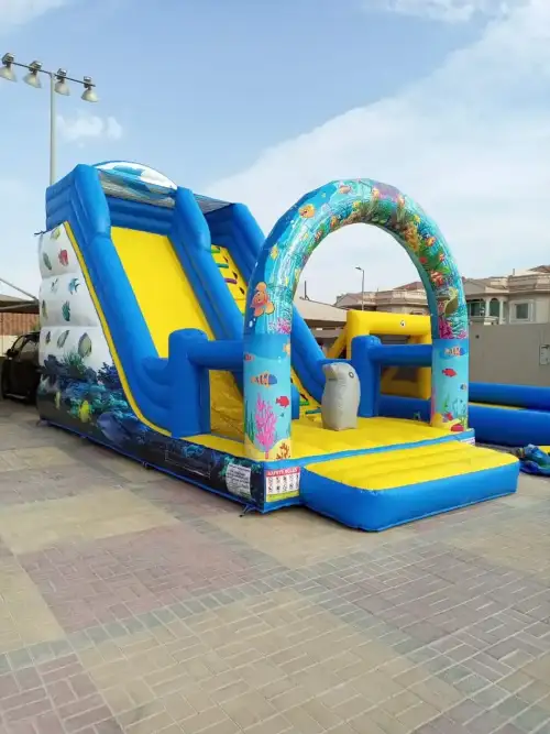 Amazing Dolphin Slide – Jump and Slide Safely with Dolphins 14 - Image 3 for rent | Estajer