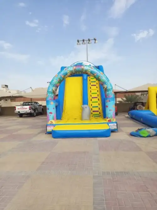 Amazing Dolphin Slide – Jump and Slide Safely with Dolphins 14 - Image 2 for rent | Estajer