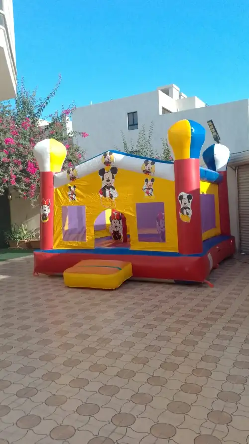 نطيطة مع زحليقة جافة بتصميم ميكي ماوس