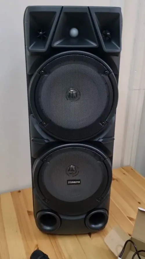 Microphone and Speakers