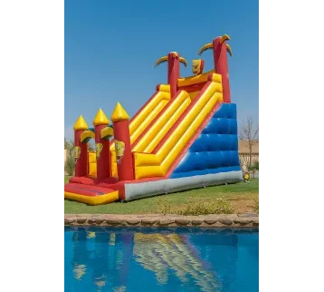 Large Dry Inflatable Slide for rent | Estajer