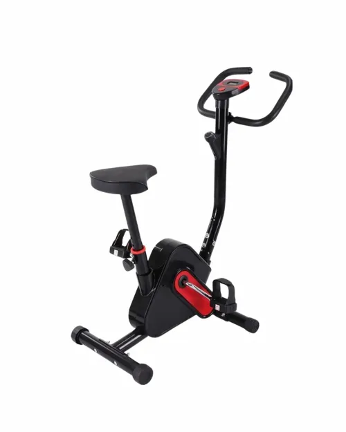 dgdc Indoor Cycling Bike Home Indoor Cycling Exercise Bike Weight Loss Folding Bike Fitness Cardio s Stationary Fitness Equipment Body Building (Color : Black)