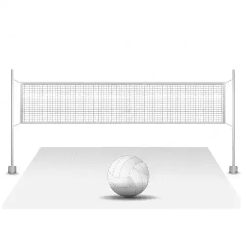 Volleyball Court with Net & Bases 138