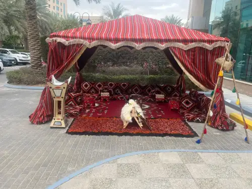 خيمه سدو مقاس 3*3 - صورة 2 للإيجار | استأجر