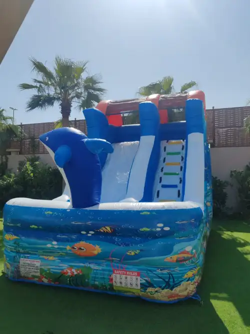 زحليقة الأسماك الجميلة - تصميم بحري جذاب للأطفال 17 - صورة 3 للإيجار | استأجر