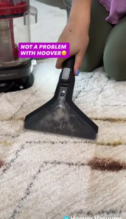 Carpet and Rug Cleaning Machine - Image 2 for rent | Estajer