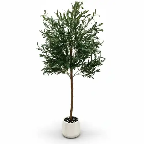 شجرة زيتون صناعية ديكورية صغيره  - صورة 2 للإيجار | استأجر