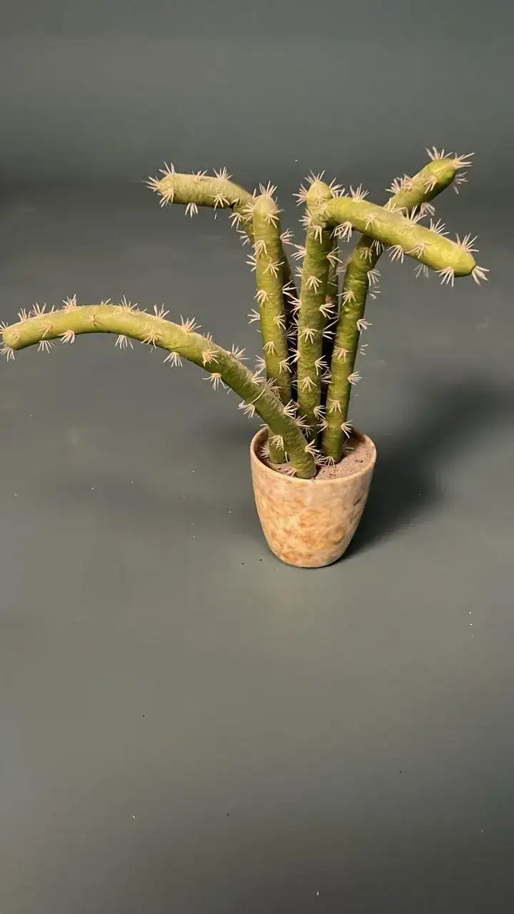 مزهرية ورود صغيرة (بروب سينمائي)  - الصورة الرئيسية للإيجار | استأجر