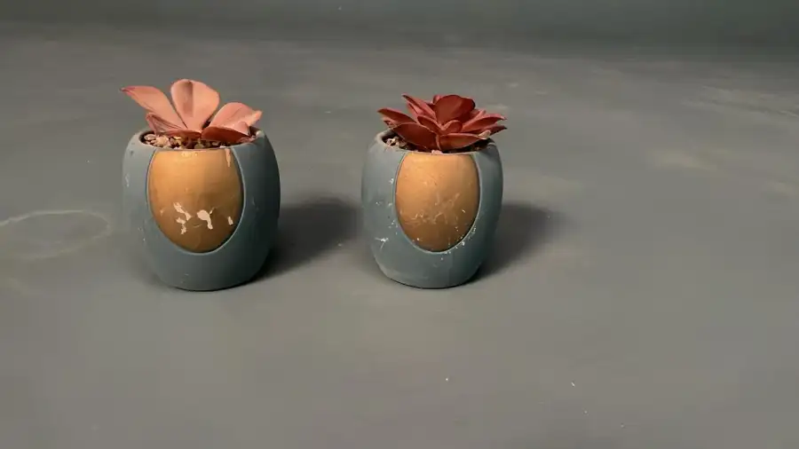 Small Vase – Prop filming  - Main image for rent | Estajer