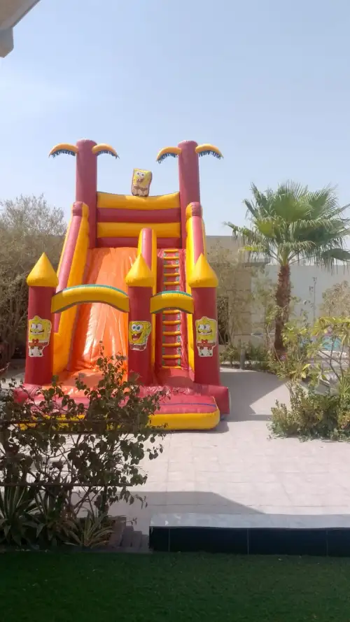 زحليقة جافة كبيرة الحجم - Image 2 for rent | Estajer