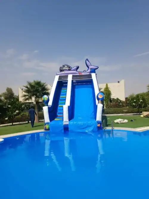 Fish Slide with Pool – Marine Designs and Refreshing Water 32 - Image 2 for rent | Estajer