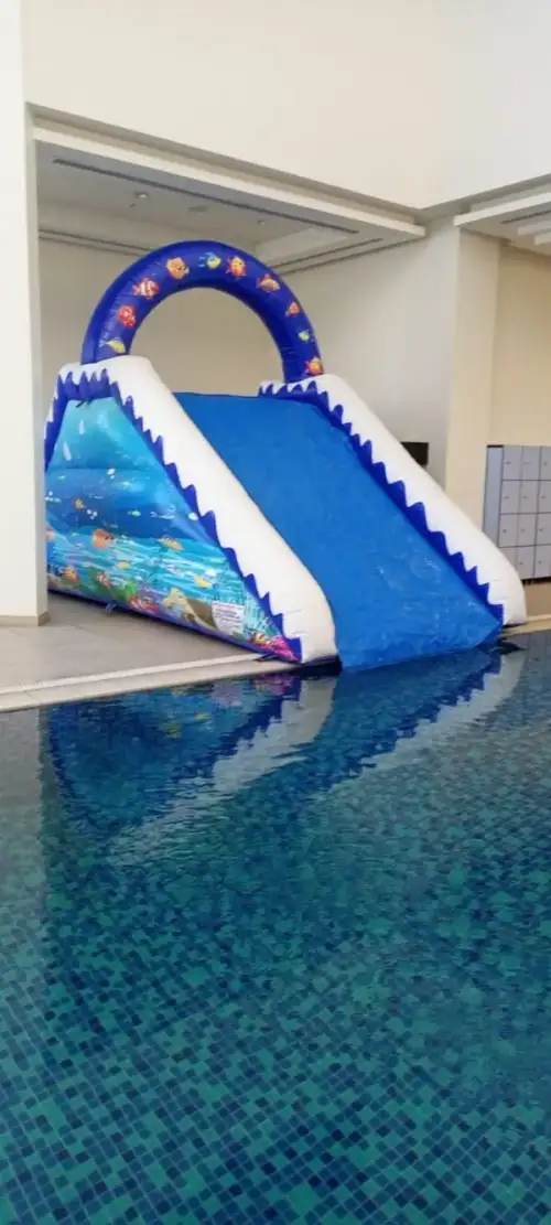 Small Fish Slide with Pool – Dual Play and Refreshing Water Fun 40 - Image 3 for rent | Estajer