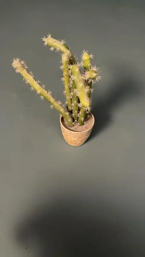 مزهرية ورود صغيرة (بروب سينمائي)  - صورة 2 للإيجار | استأجر