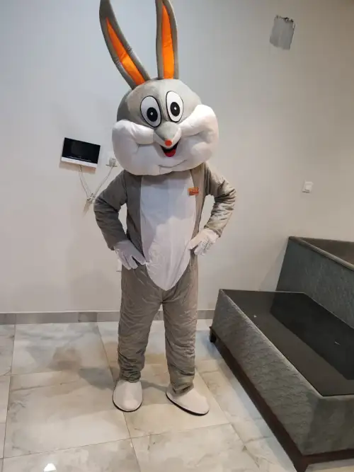 Cartoon Character: Funny Bunny – Perfect for Kids 121  - Image 4 for rent | Estajer