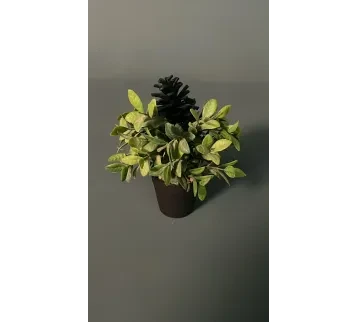 مزهريّة صغيرة – ديكور (Decor) سينمائي للإيجار | استأجر