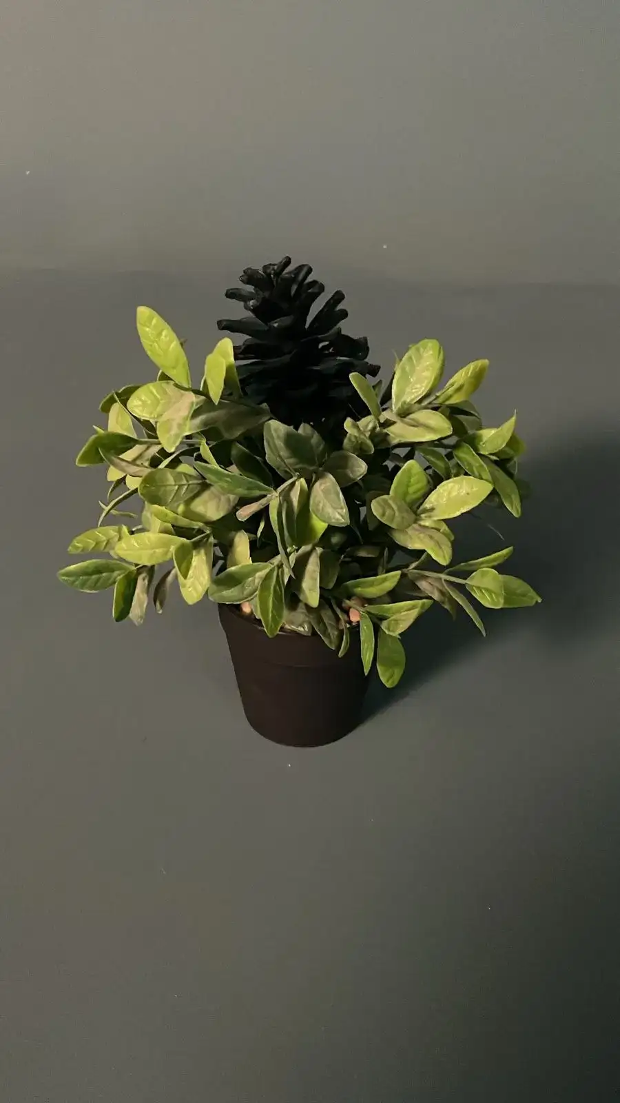 Small Decorative Vase – Cinematic Decor - Main image for rent | Estajer