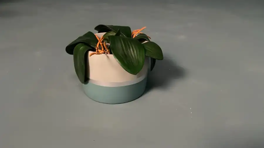 مزهرية ورود صغيرة (بروب سينمائي)  - الصورة الرئيسية للإيجار | استأجر