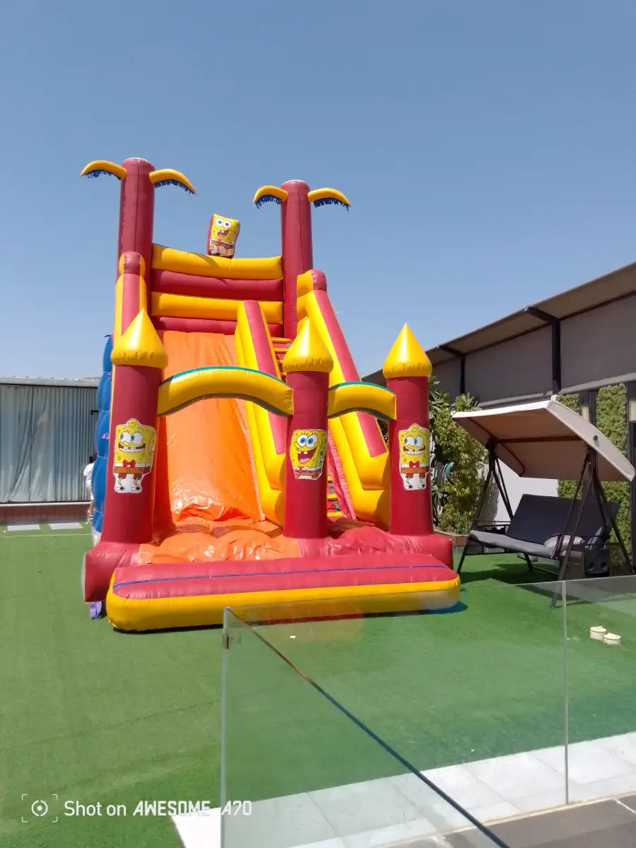 SpongeBob - Main image for rent | Estajer