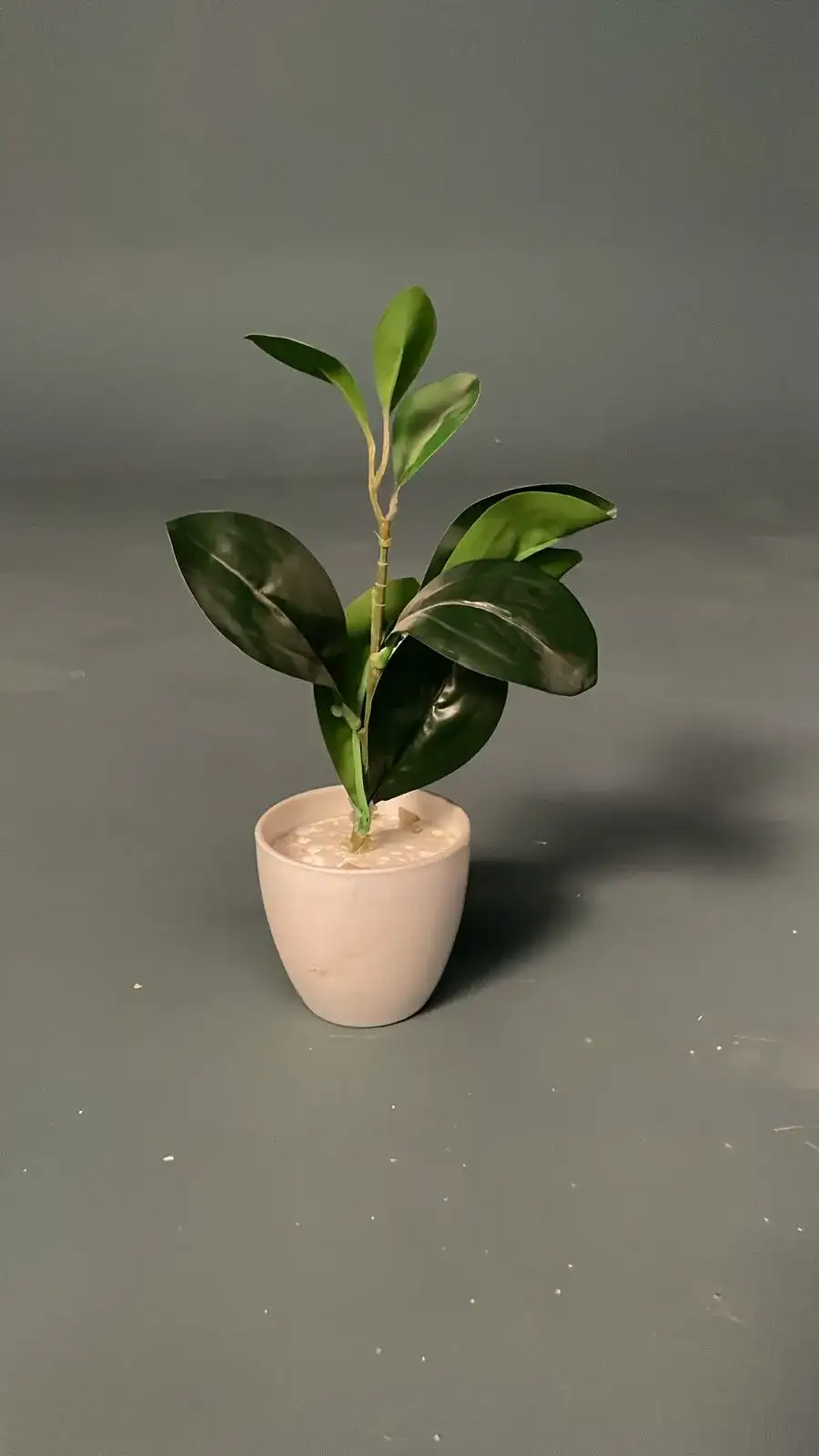 Small Decorative Vase – Cinematic Prop - Main image for rent | Estajer