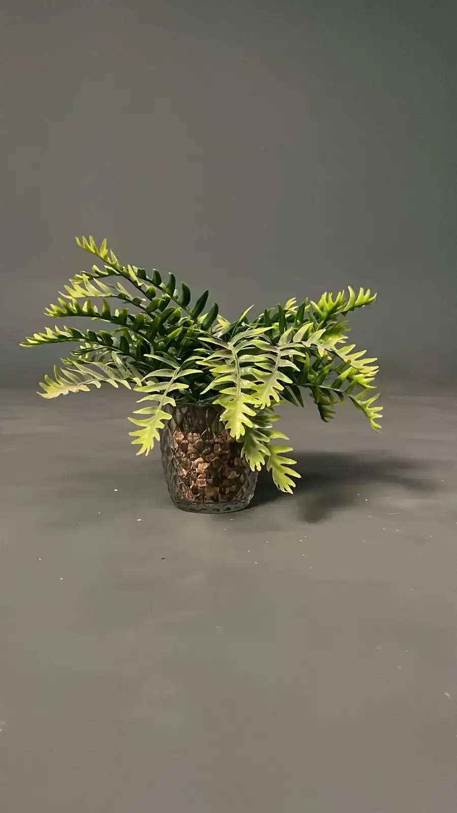 مزهرية صغيرة – بروبس تصوير سينمائي - الصورة الرئيسية للإيجار | استأجر