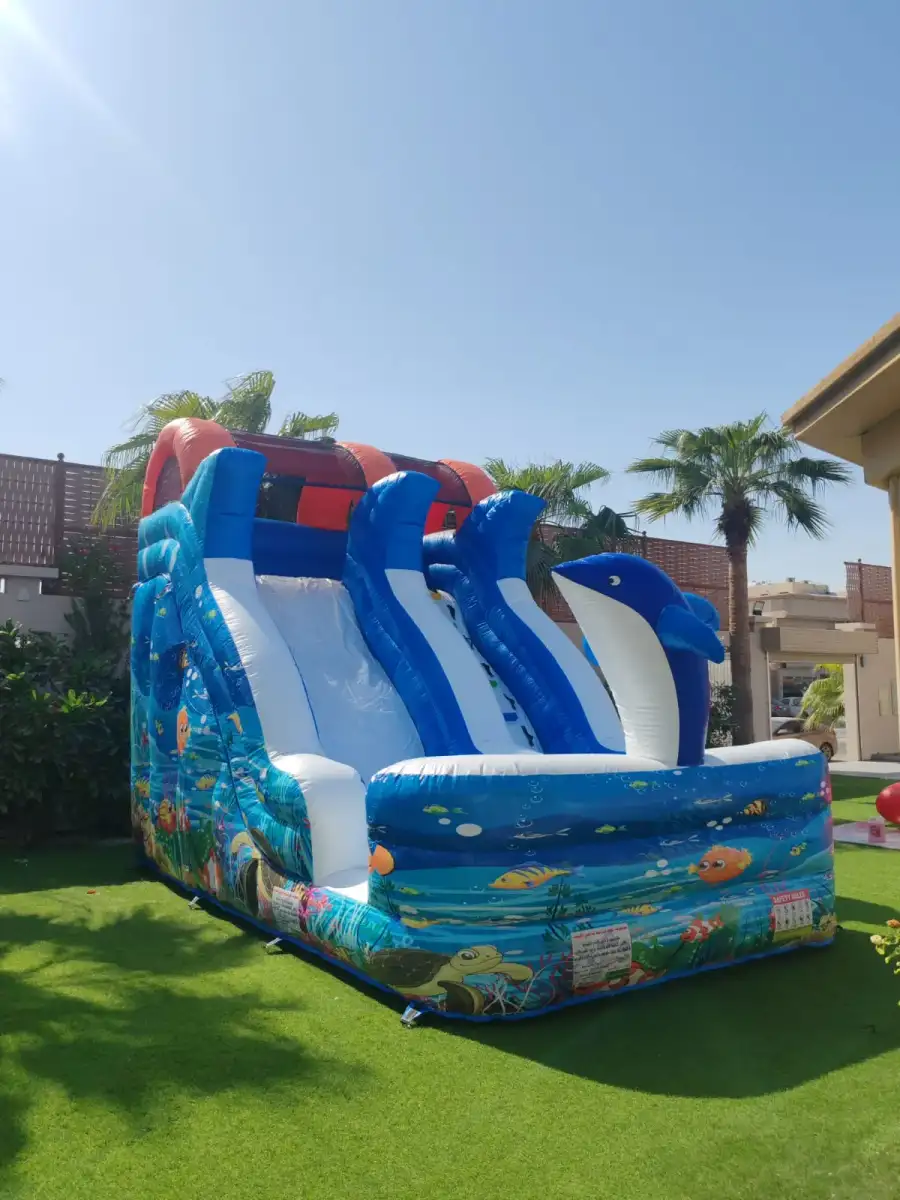 زحليقة الأسماك الجميلة - تصميم بحري جذاب للأطفال 17 - الصورة الرئيسية للإيجار | استأجر