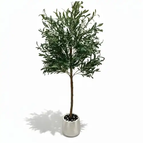 شجرة زيتون صناعية ديكورية صغيره  - صورة 3 للإيجار | استأجر