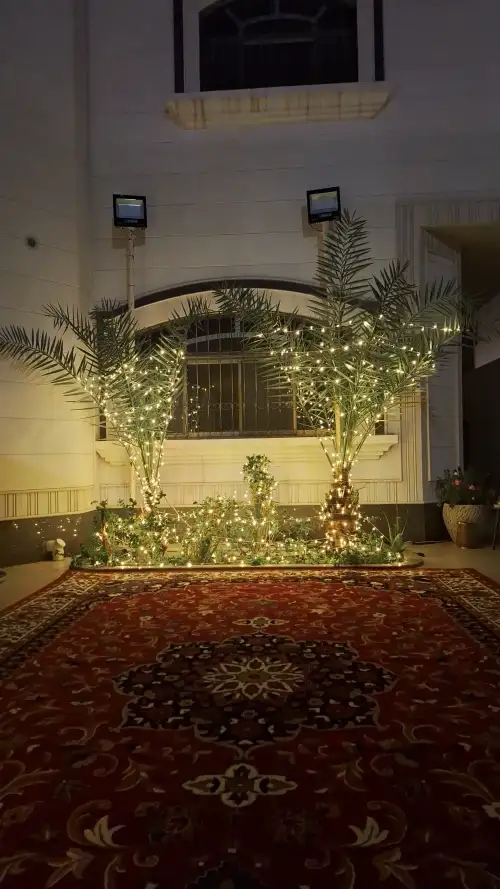 اضاءه بيبي لايت   - صورة 2 للإيجار | استأجر