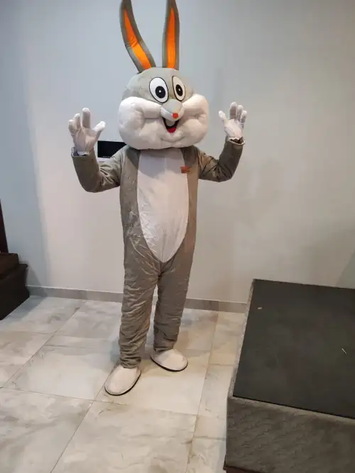 Cartoon Character: Funny Bunny – Perfect for Kids 121  - Image 2 for rent | Estajer