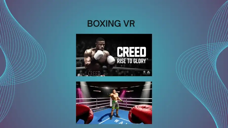 BOXING VR - Main image for rent | Estajer