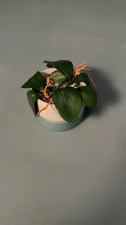 مزهرية ورود صغيرة (بروب سينمائي)  - صورة 2 للإيجار | استأجر