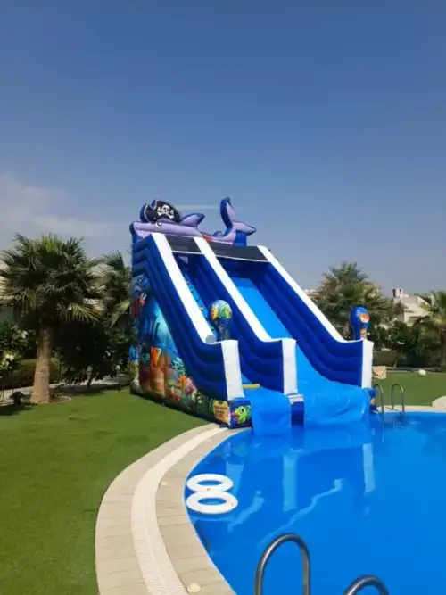 Fish Slide with Pool – Marine Designs and Refreshing Water 32 - Image 4 for rent | Estajer