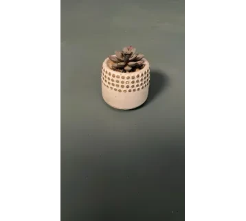 مزهرية ورود (بروب سينمائي)  للإيجار | استأجر