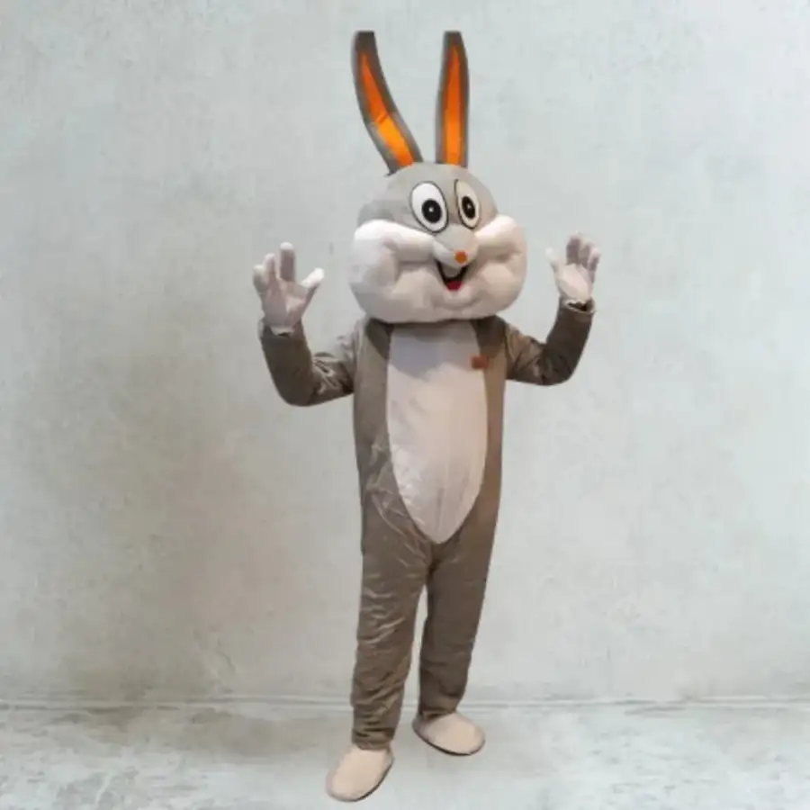 Cartoon Character: Funny Bunny – Perfect for Kids 121  - Main image for rent | Estajer