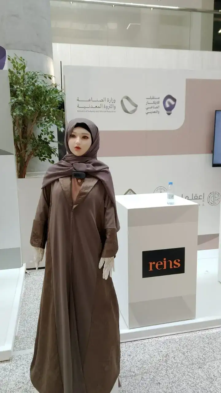 Robot - Main image for rent | Estajer