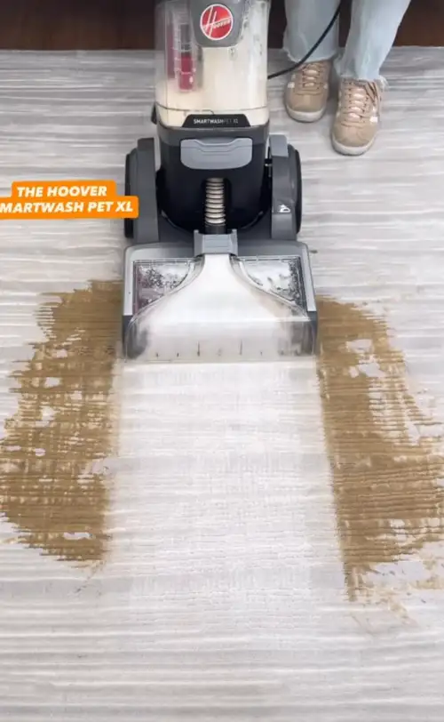 Carpet and Rug Cleaning Machine - Image 3 for rent | Estajer