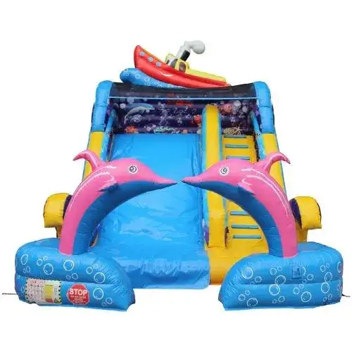 زحليقة الدولفين المائية – المنتج رقم 0019 - الصورة الرئيسية للإيجار | استأجر