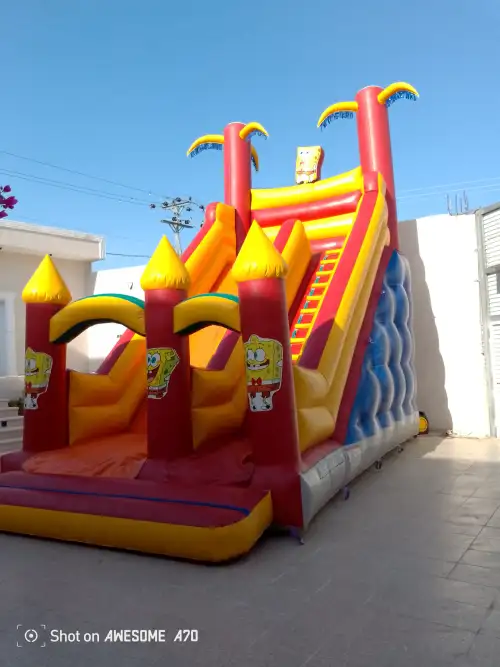 SpongeBob - Image 2 for rent | Estajer