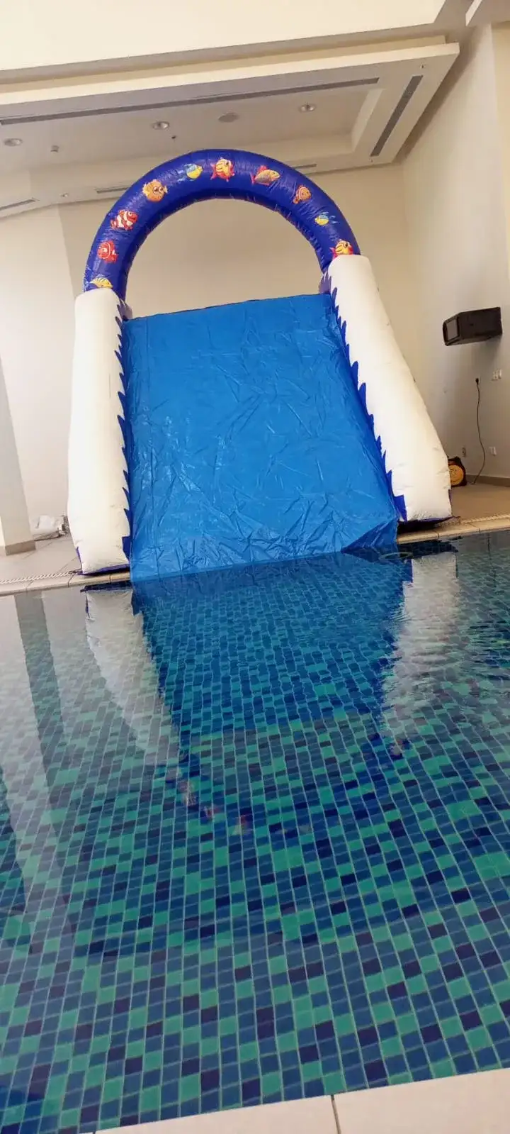 Small Fish Slide with Pool – Dual Play and Refreshing Water Fun 40 - Main image for rent | Estajer