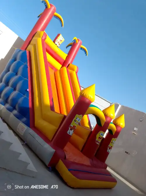 SpongeBob - Image 3 for rent | Estajer