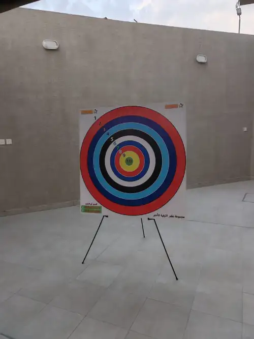 Giant Dart Game – Suitable for All Ages 95 - Image 2 for rent | Estajer