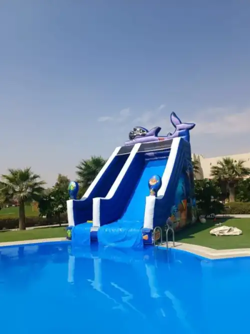 Fish Slide with Pool – Marine Designs and Refreshing Water 32 - Image 3 for rent | Estajer