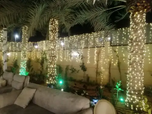 اضاءه بيبي لايت   - صورة 5 للإيجار | استأجر