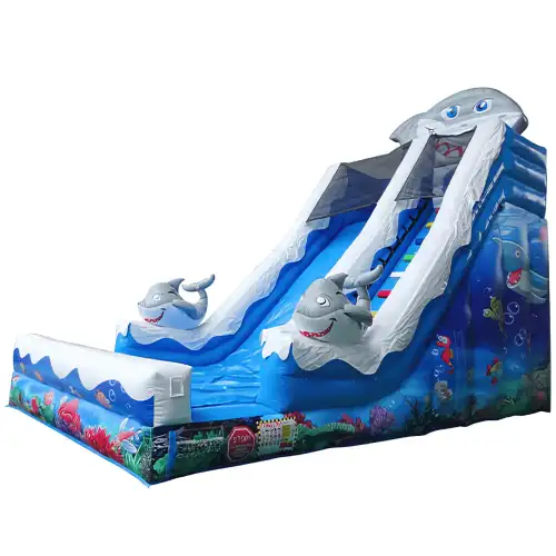 Shark Slide - 0072 - Image 2 for rent | Estajer